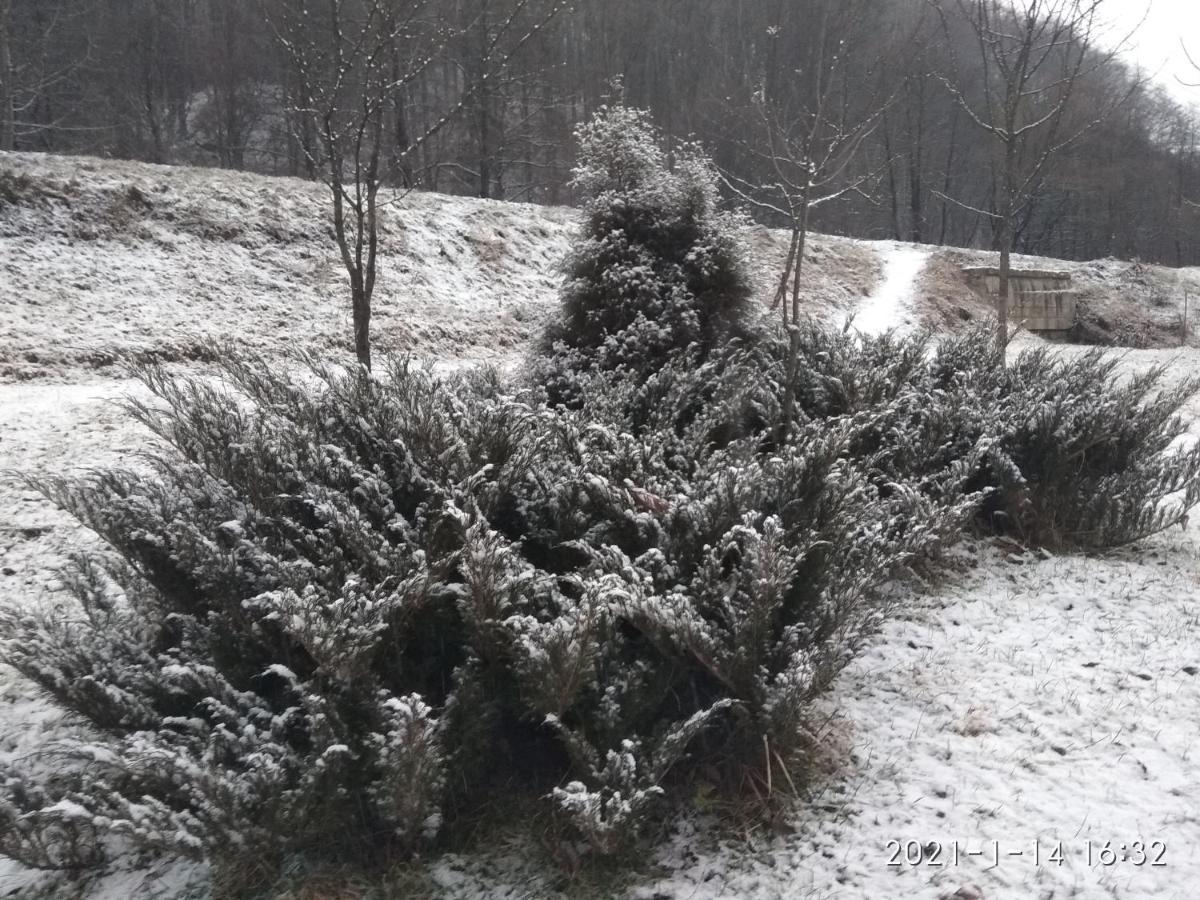 Gorec Yaremche Bagian luar foto